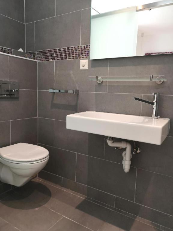 Hotel Du Raisin Lozan Dış mekan fotoğraf